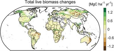 Global carbon balance of the forest: satellite-based L-VOD results over the last decade